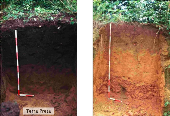 Terra preta soil profile